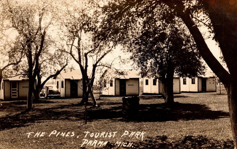 The Pines Tourist Park - Vintage Postcard